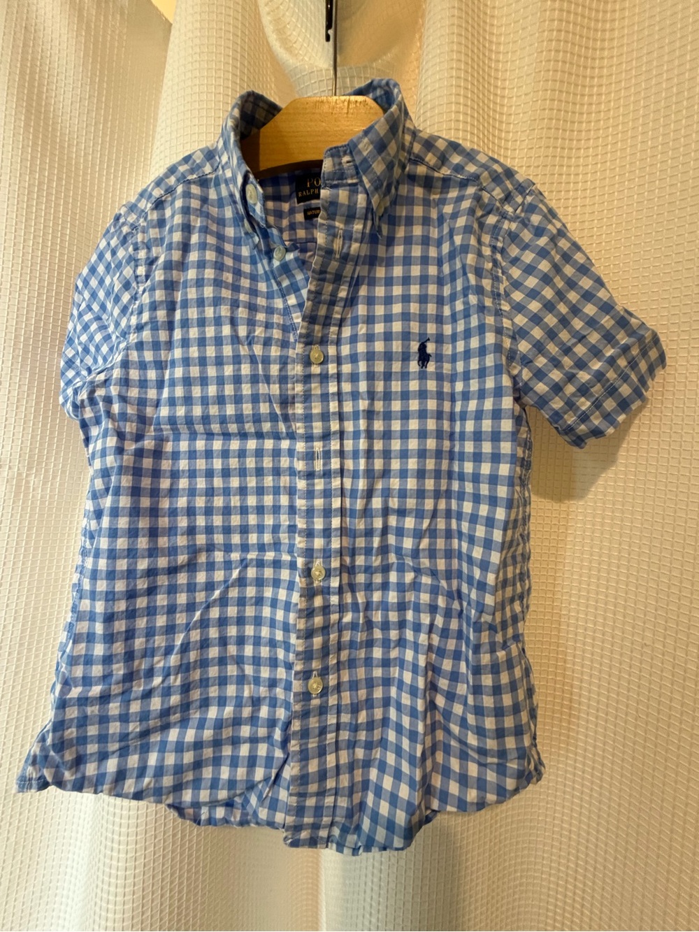 Ralph Lauren Blue & White Gingham Button-Down Shirt - Kids